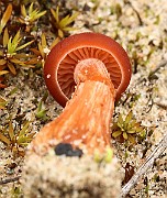 IMG_0641