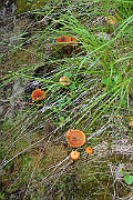 IMG_0892
