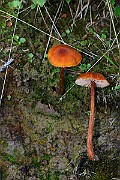 IMG_0893
