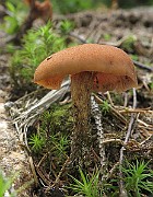 IMG_1142