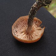 IMG_1148