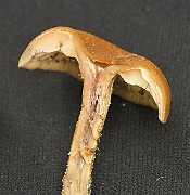 IMG_1150