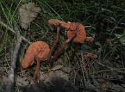 IMG_0126