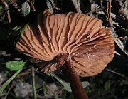 IMG_0128