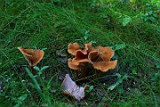 IMG_0857