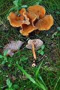 IMG_0861