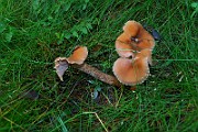 IMG_0862