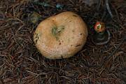 IMG_9167