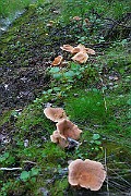 IMG_0899