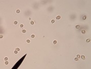 20200722_042833