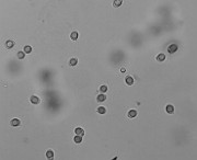 20200722_042923