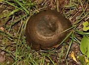 IMG_0755