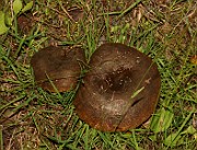 IMG_0756