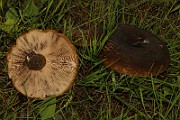 IMG_0759