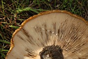 IMG_0761