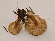IMG_0720