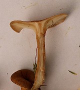 IMG_0722