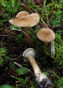 IMG_9458