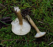 IMG_9460