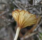 IMG_6641