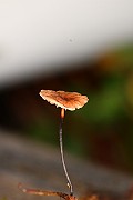 IMG_1072