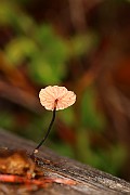 IMG_1074