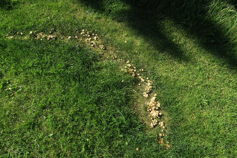 IMG_0384.JPG