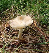 IMG_0405