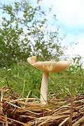 IMG_0412