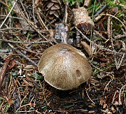 IMG_1044