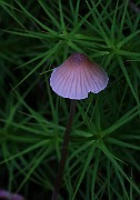 IMG_6153
