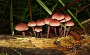 IMG_3715