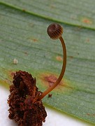 IMG_0850