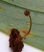 IMG_0851
