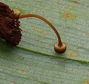 IMG_0852