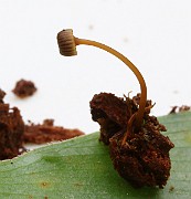 IMG_0853