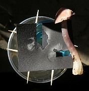 IMG_0433s