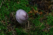 IMG_9335