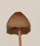 IMG_0393