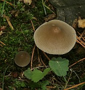 IMG_0257b