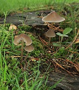 IMG_0259s