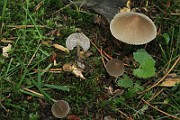 IMG_0262