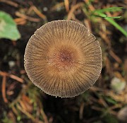 IMG_1093