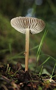 IMG_1097