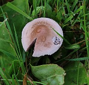 IMG_0083
