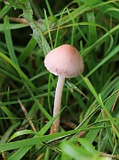 IMG_0084