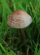 IMG_0101