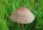 IMG_0104