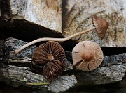 IMG_0107
