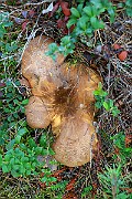 IMG_2077
